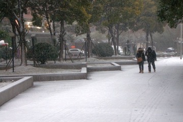 CIMG7751.JPG