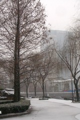 CIMG7759.JPG