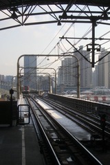 CIMG7863.JPG