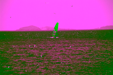 1000016597