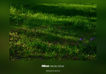 1000028894