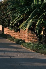 FB0B8108-B13E-4310-9925-41721A6F50D4/L0/001