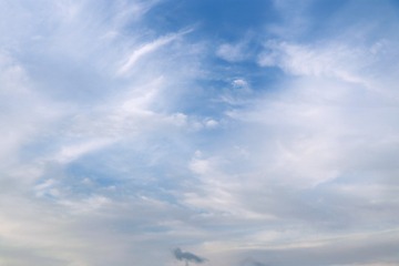 1000029129