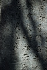 1000036601