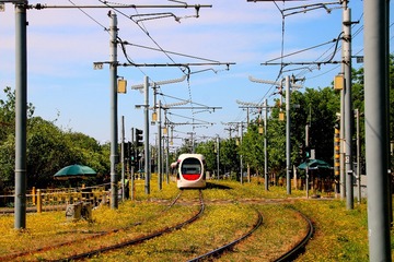 163483