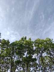 1000008611