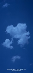 1000093090