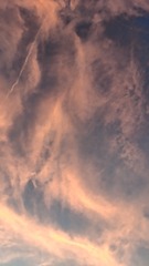 1000080497