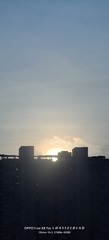 1000093227