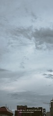 1000093371