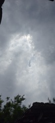 1000066412