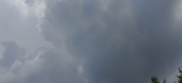 1000066372