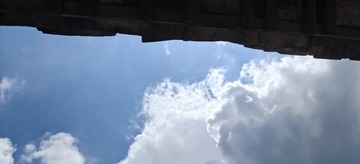 1000066363