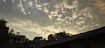 1000066563