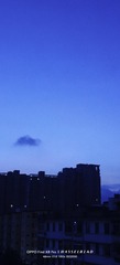 1000093197