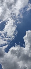 1000066394