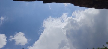 1000066364