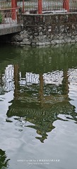 1000150713