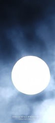 1000093247