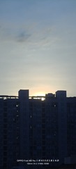 1000093224