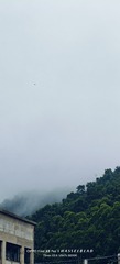 1000152454