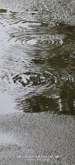 1000151698