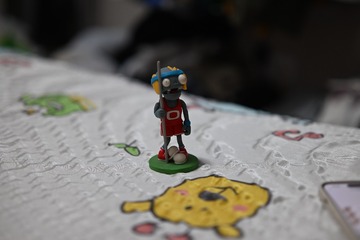 DSC_1314