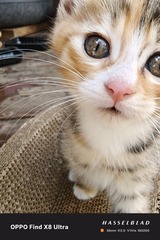 1000007402