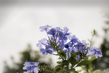 IMG_8294 拷贝
