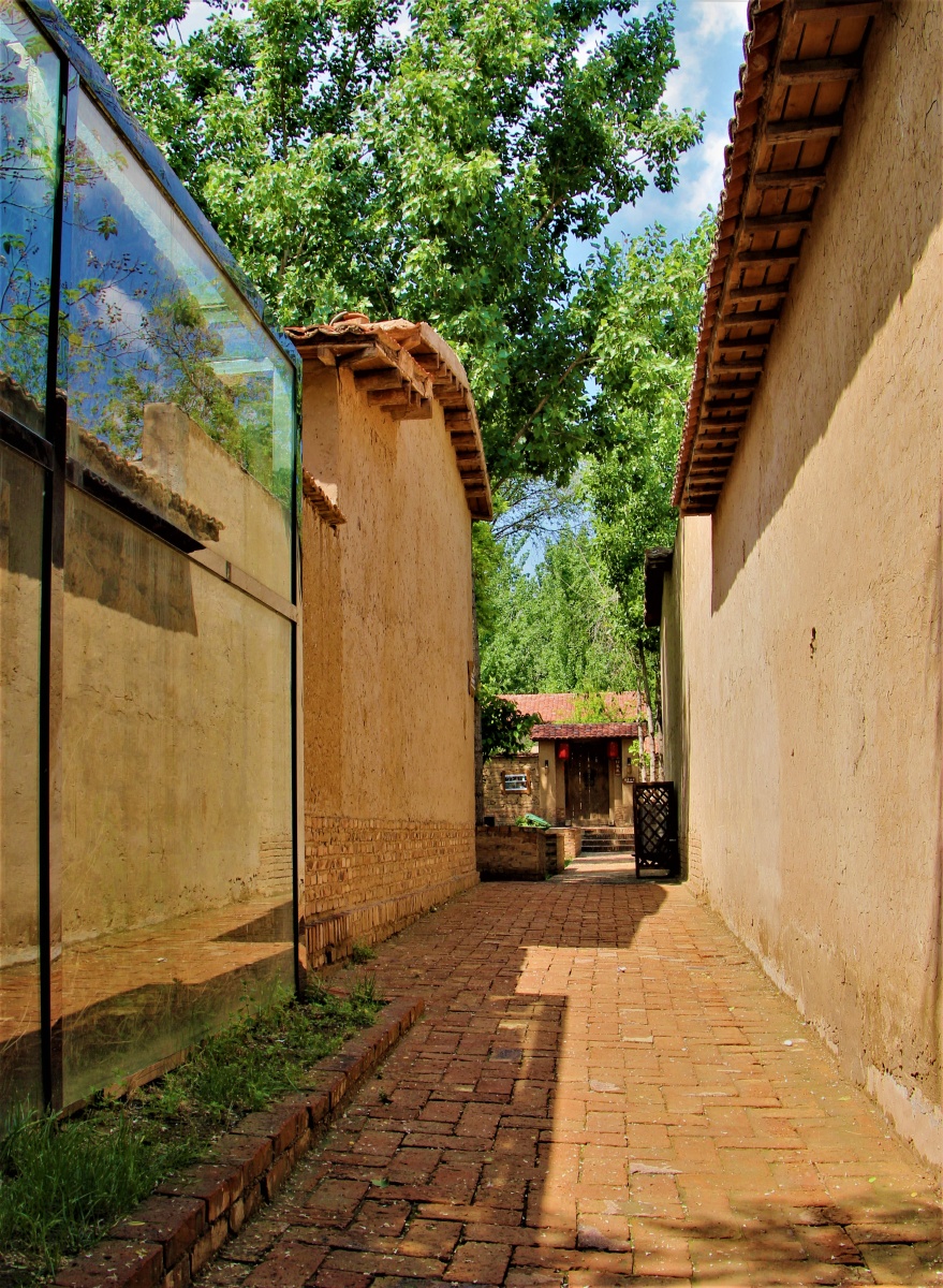 拍于滨州西纸坊