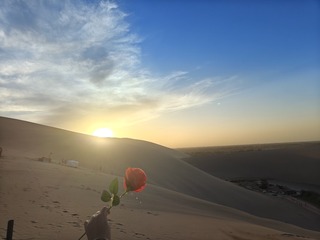 1000010384