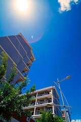 _MG_7781.jpg