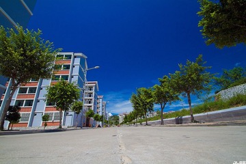 _MG_7794.jpg