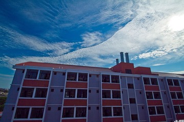_MG_7812.jpg