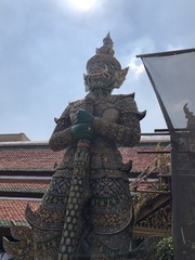1000002524