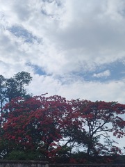 1000054499