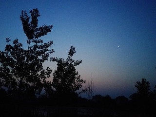 1000052722