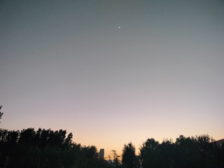 1000052362