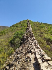 1000062507