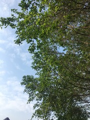 562857