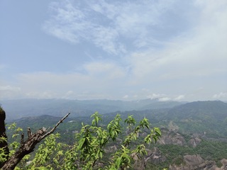 1000070281