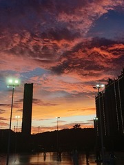 1000114251