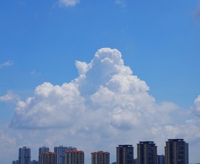 65453