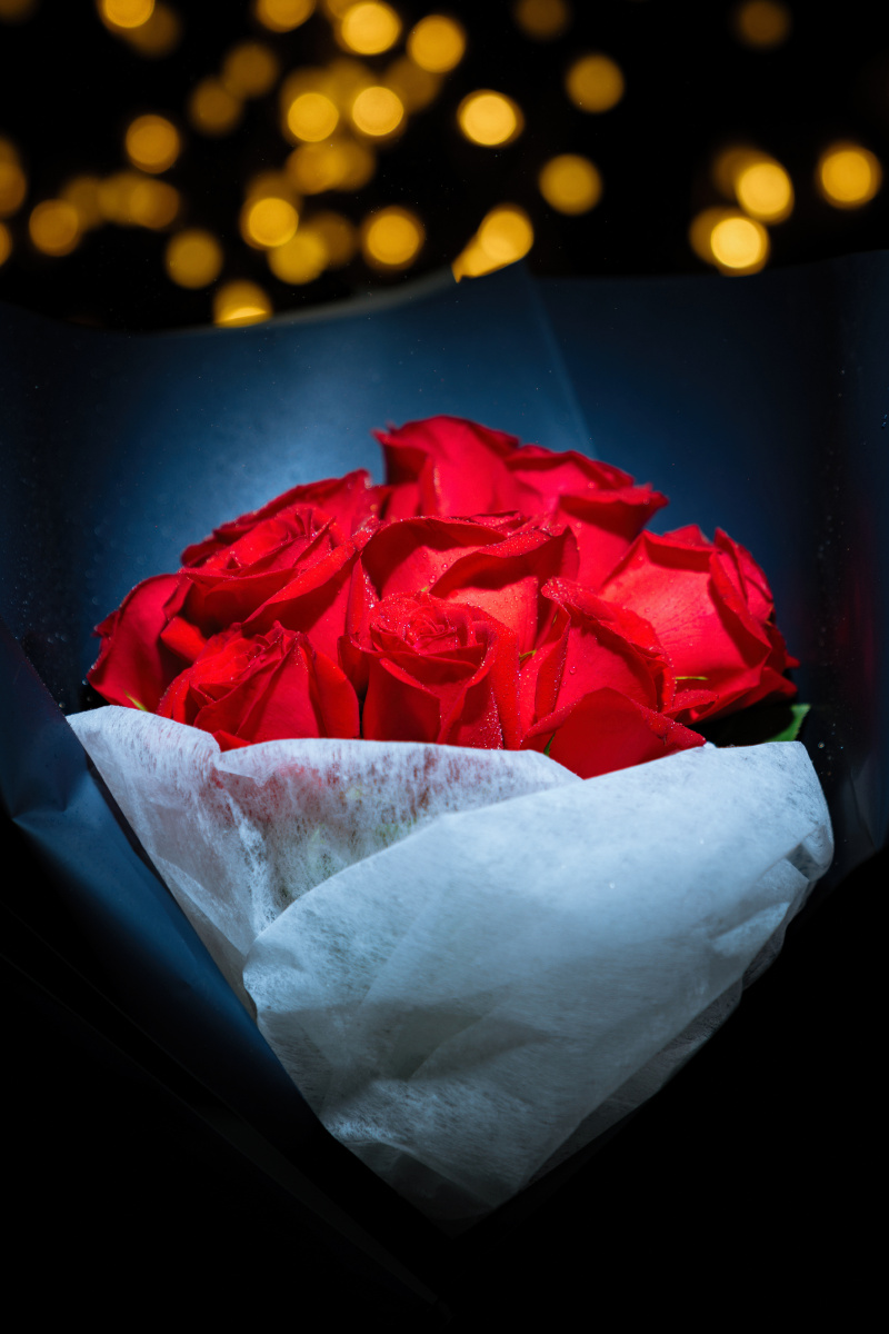 一组创意夜拍玫瑰单灯拍摄