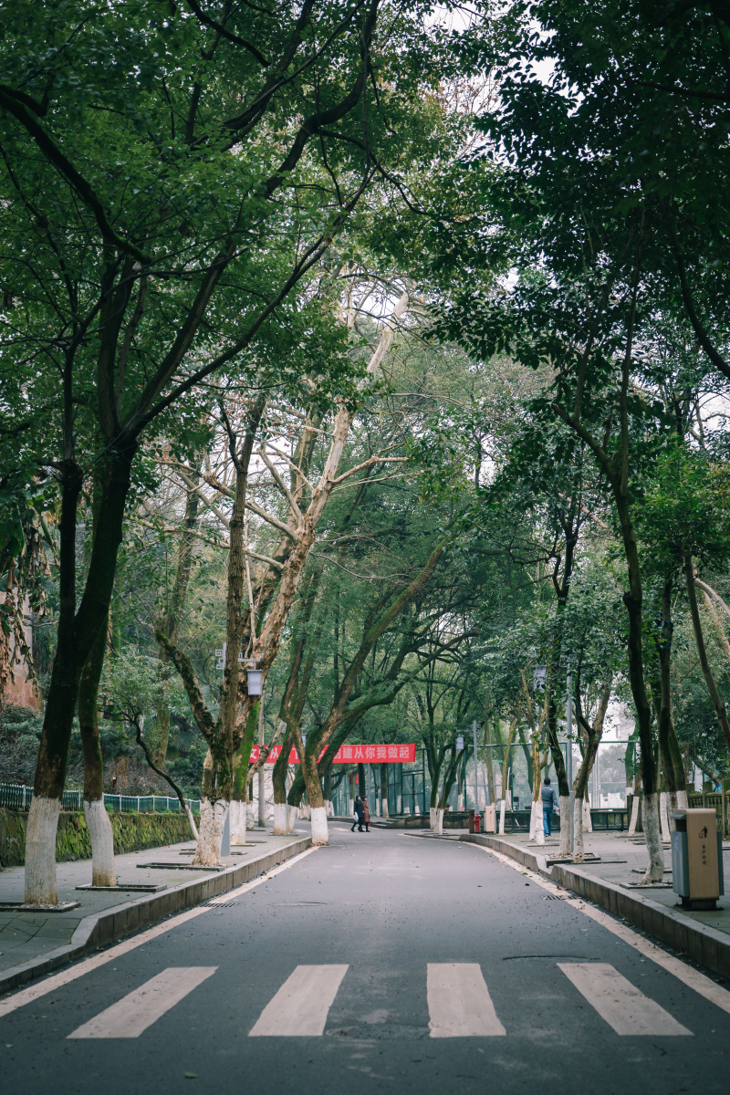 百年名校抚州一中