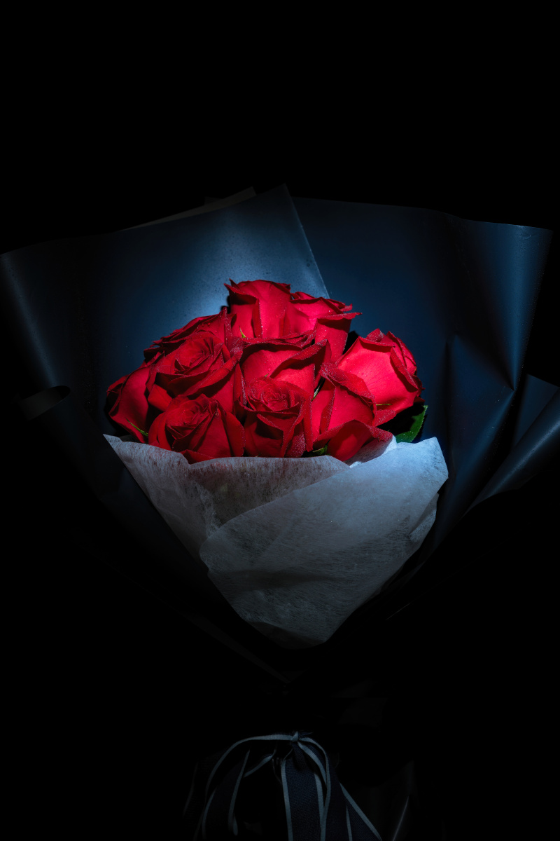 一组创意夜拍玫瑰单灯拍摄