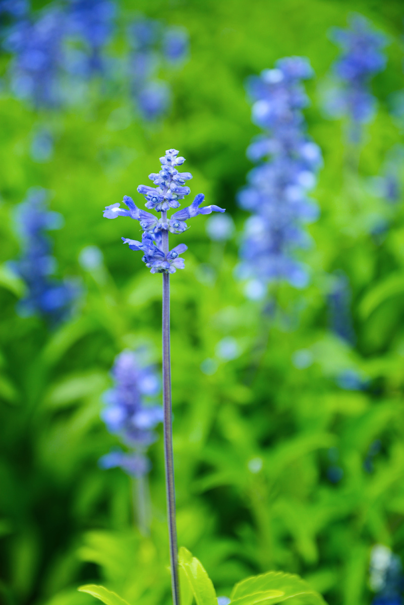 801_1200竖版 竖屏