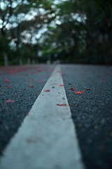 1000075941