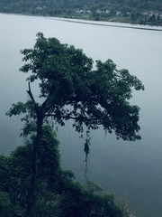 1000016784