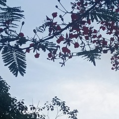 1000046169